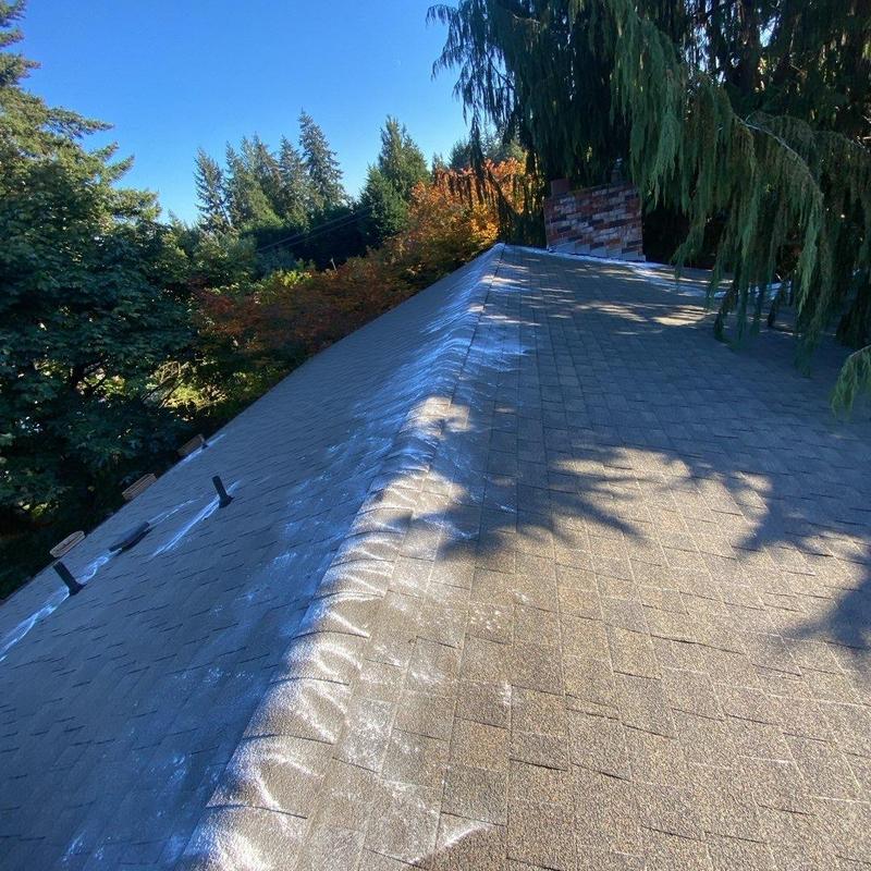 Roof shingles with moss treatment application