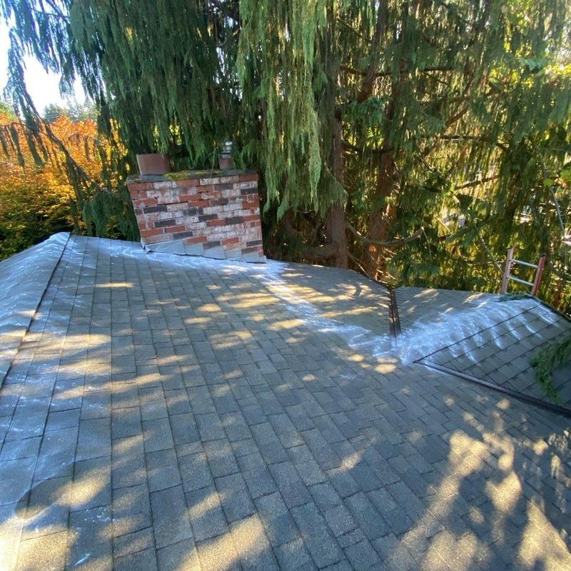 Roof shingles with moss treatment and debris cleanup