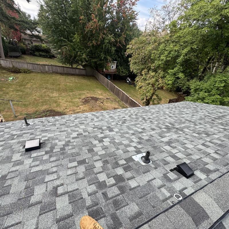 Asphalt shingle roof with vents in suburban backyard