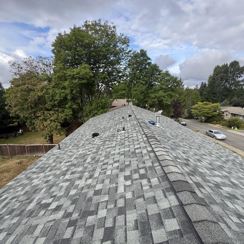 Shingle roof replacement with ridge vent in neighborhood
