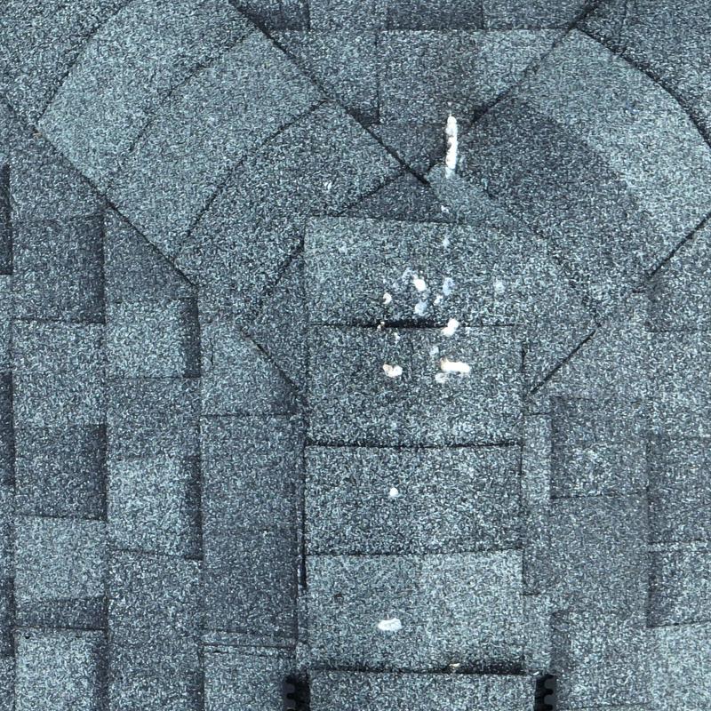 Roof shingles with hail damage and granule loss