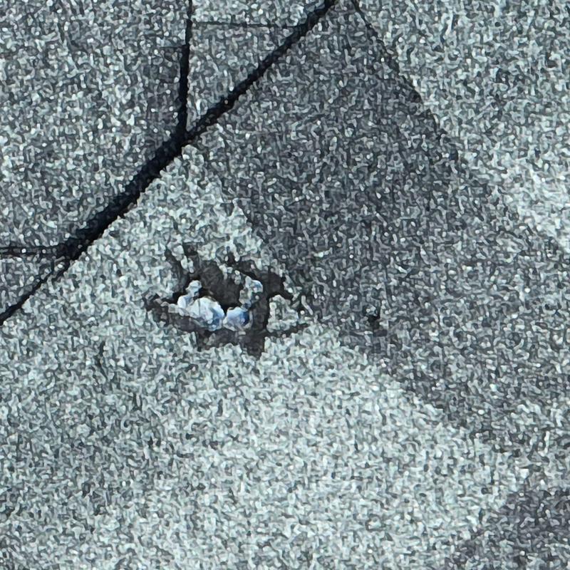 Roof shingle hail damage with exposed granules close-up