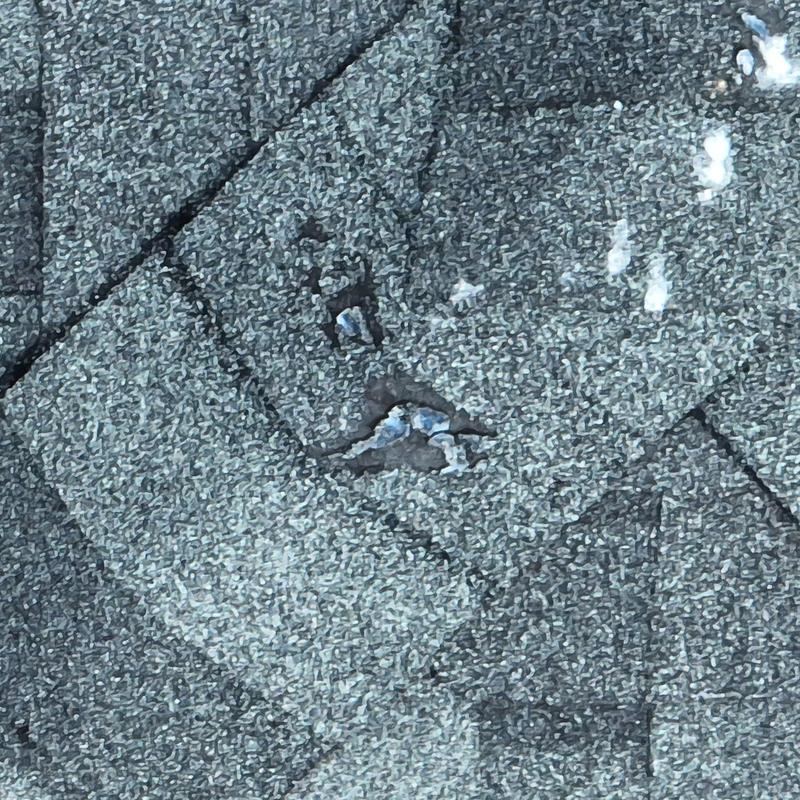 Asphalt roofing shingle with hail damage close-up