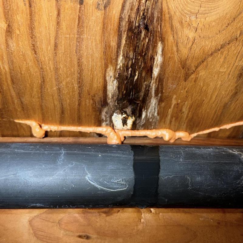 Shower leak damage on wooden subfloor near pipe Shower leak damage on wooden subfloor near pipe