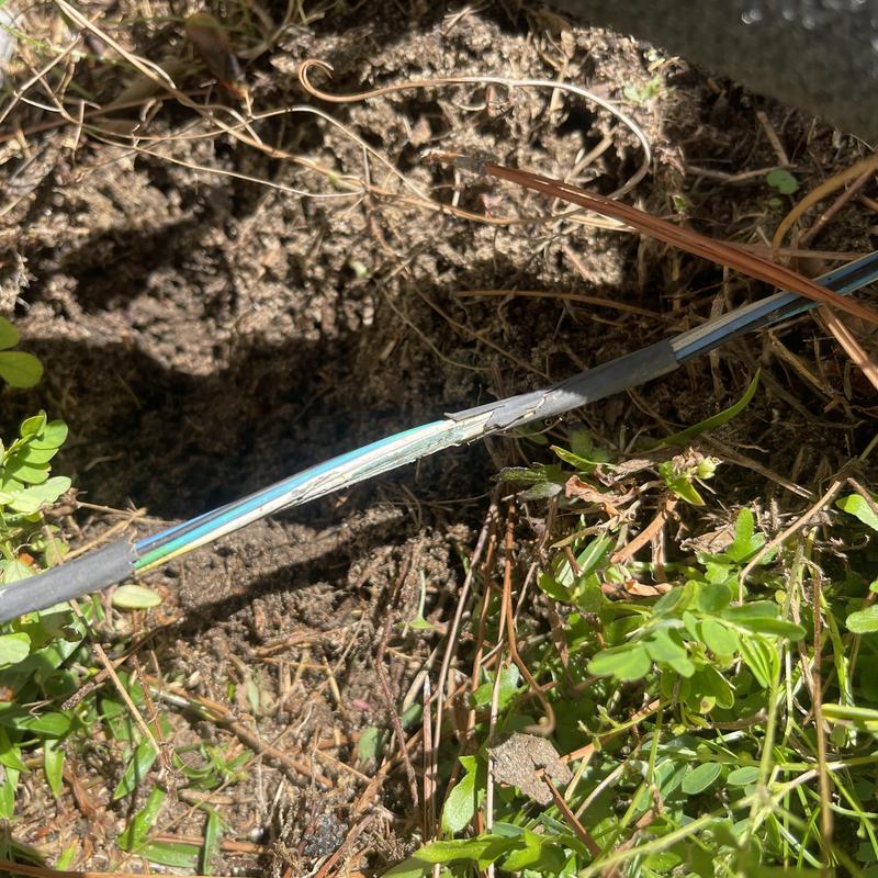 Rheem split system outdoor wiring with damaged insulation
