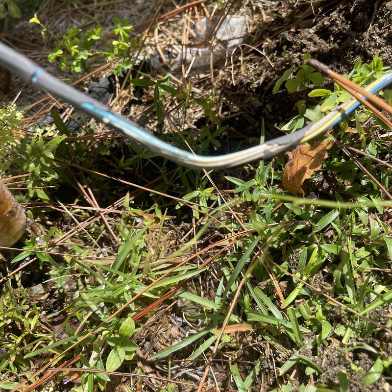 Rheem split system outdoor electrical wiring in grass