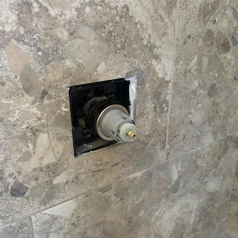 Delta shower valve cartridge installed in wall cavity Delta shower valve cartridge installed in wall cavity