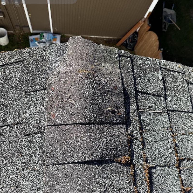 Asphalt roof shingles with wear and granule loss