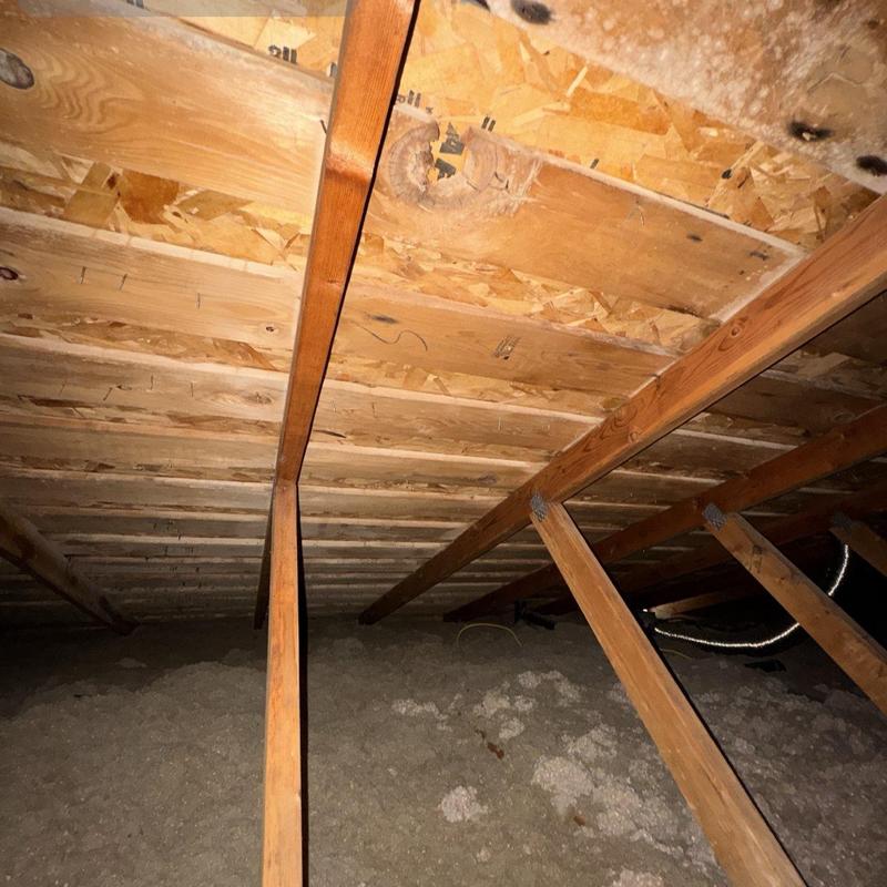 Roof sheathing and attic insulation inspection
