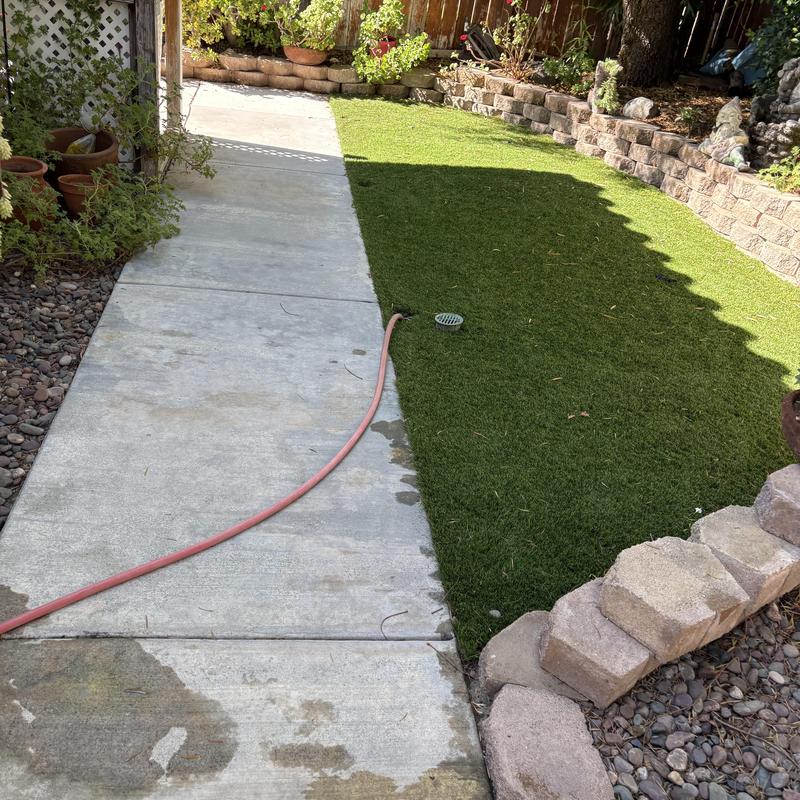 Area drain with hydrojetting hose on lawn and sidewalk