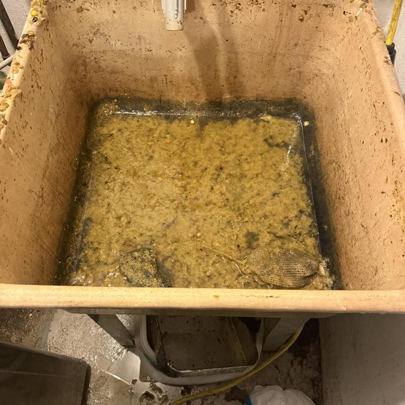 Laundry utility sink with heavy sediment buildup Laundry utility sink with heavy sediment buildup
