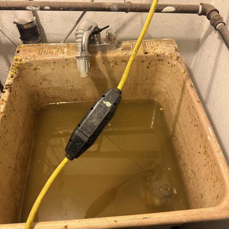 Laundry utility sink with stagnant water and extension cord Laundry utility sink with stagnant water and extension cord