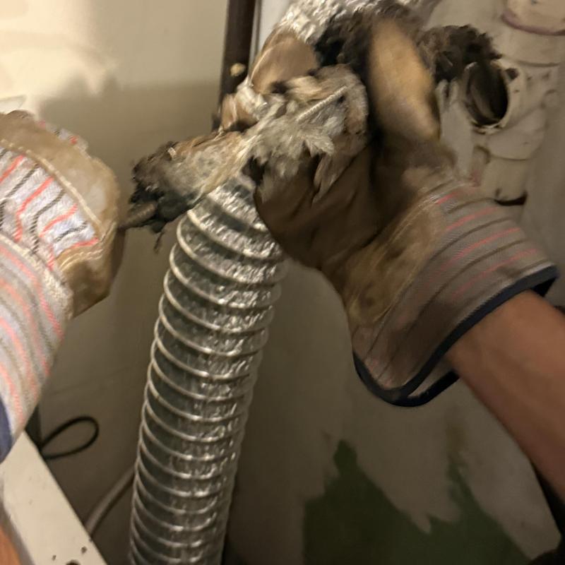 Laundry dryer vent hose with gloved hands removing debris Laundry dryer vent hose with gloved hands removing debris