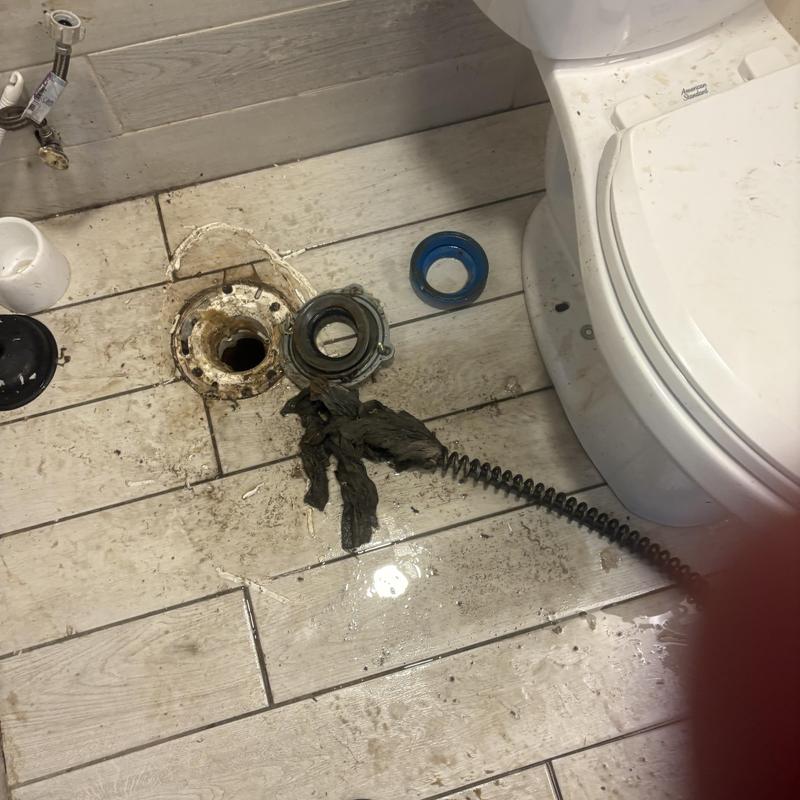 Toilet flange removal with clogged material and plumbing snake Toilet flange removal with clogged material and plumbing snake
