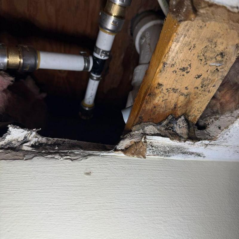 Polybutylene water pipe replaced with PEX piping