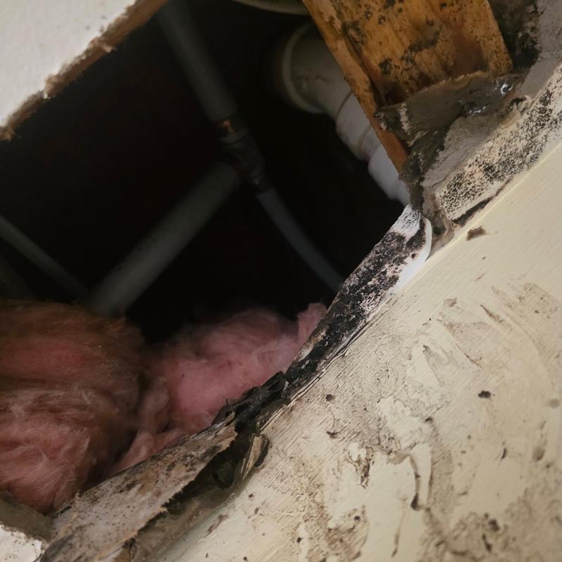 Polybutylene pipe with mold damage and insulation visible