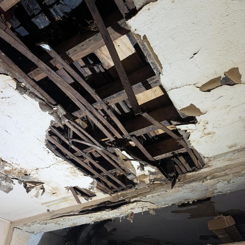 Ceiling joists and lath with severe water damage