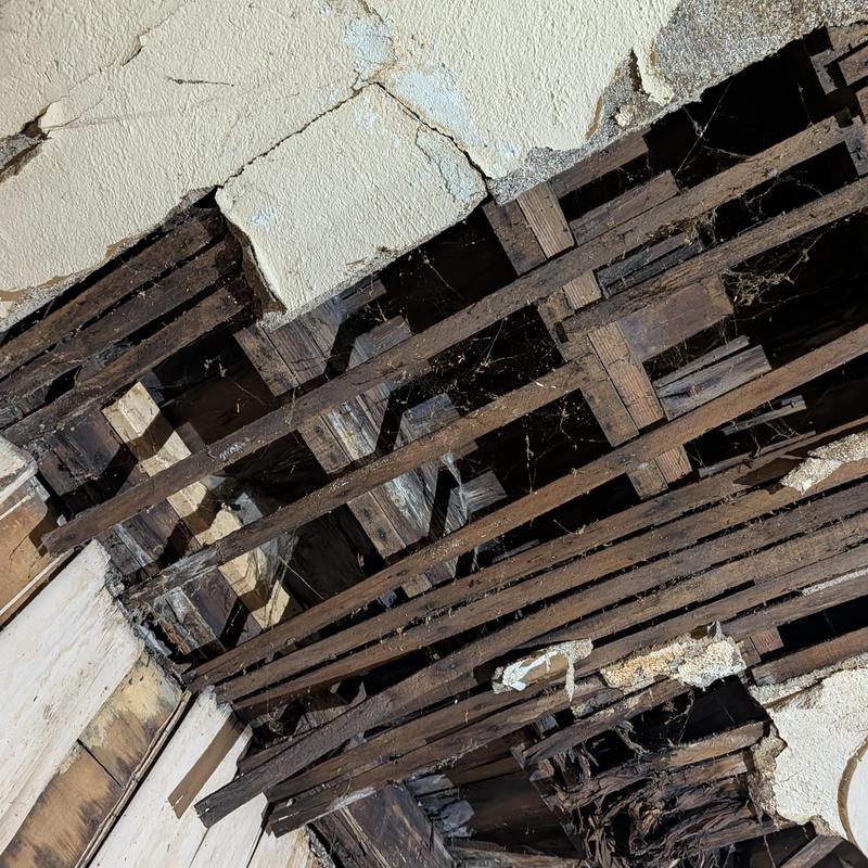 Rotten wood ceiling joists and plaster damage