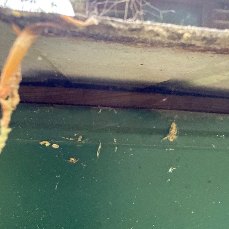 Roof edge with weather-related damage and wear