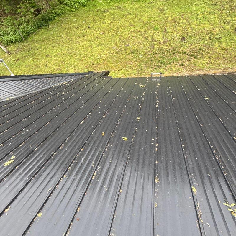 Metal roof panels with scattered hail damage debris