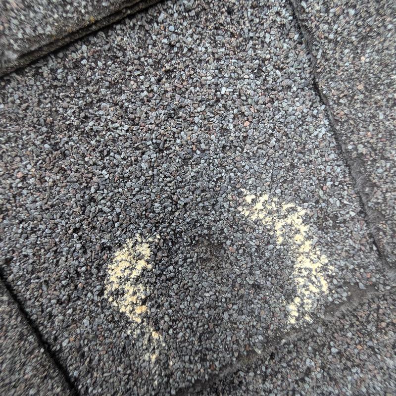 Asphalt roof shingles with hail impact mark