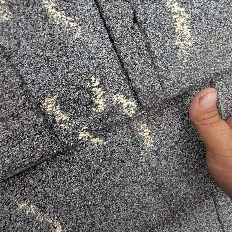 Asphalt roof shingles with hail damage marks