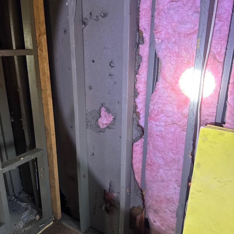 Wall insulation with visible water damage and mold spots