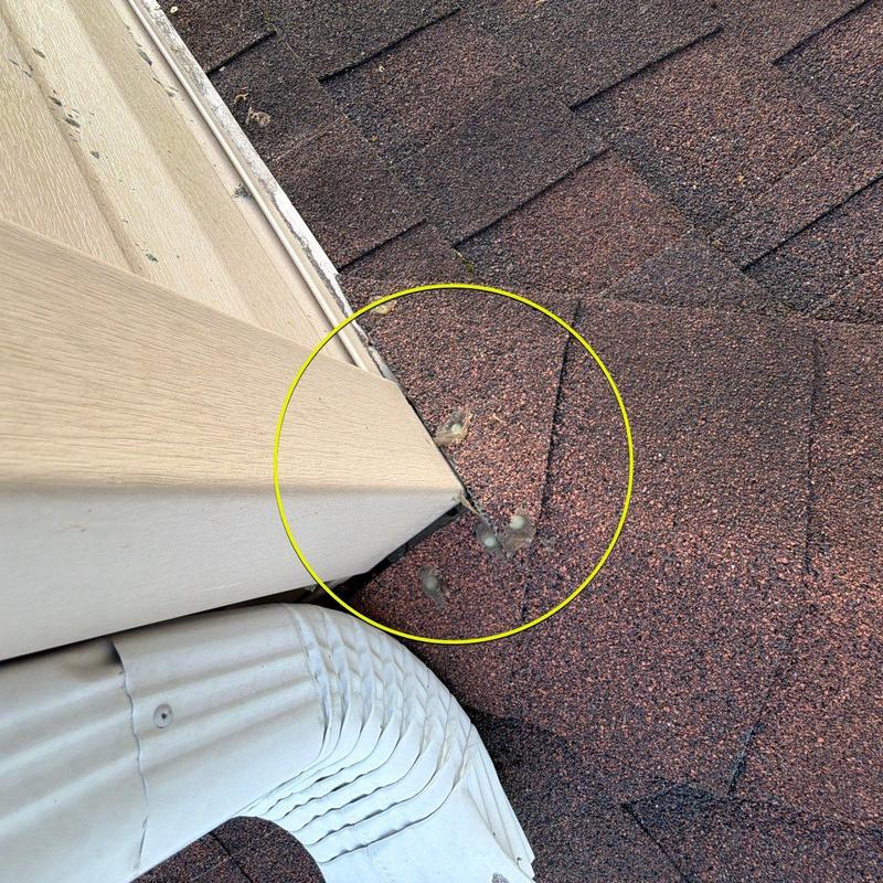 Roof shingles with hail impact damage near corner flashing