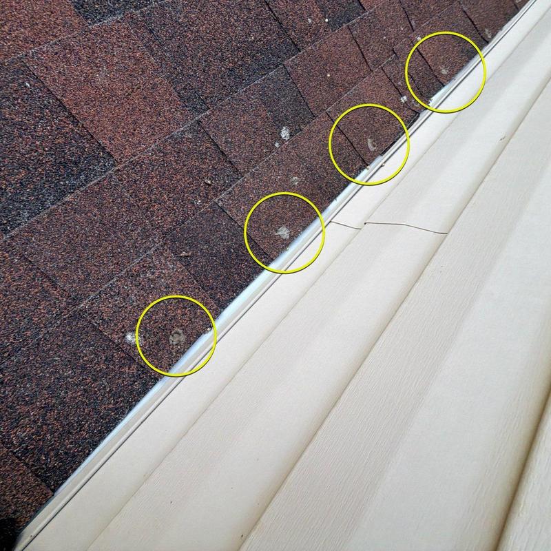 Asphalt shingles with hail damage along gutter edge