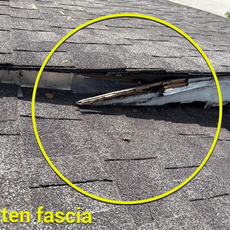 Fascia board with visible rot and roof shingles