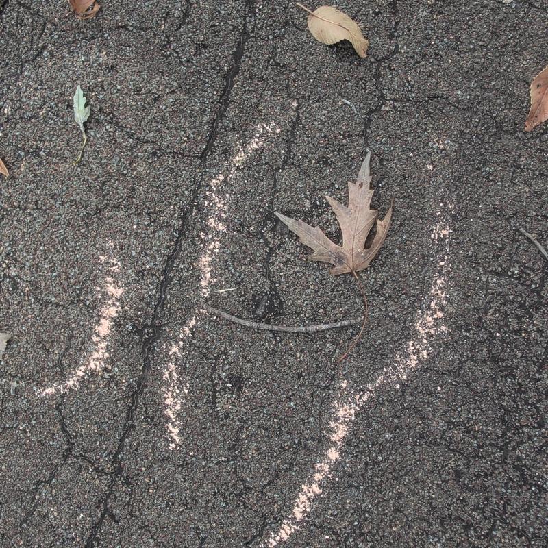 Asphalt shingle roof with marked hail damage and leaves