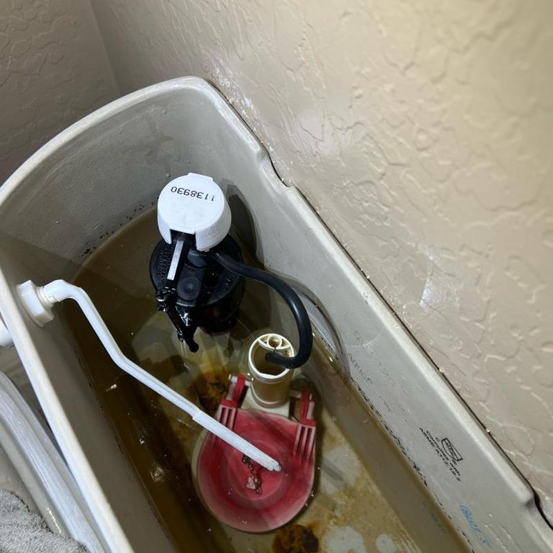 Toilet fill valve and flapper inside tank maintenance