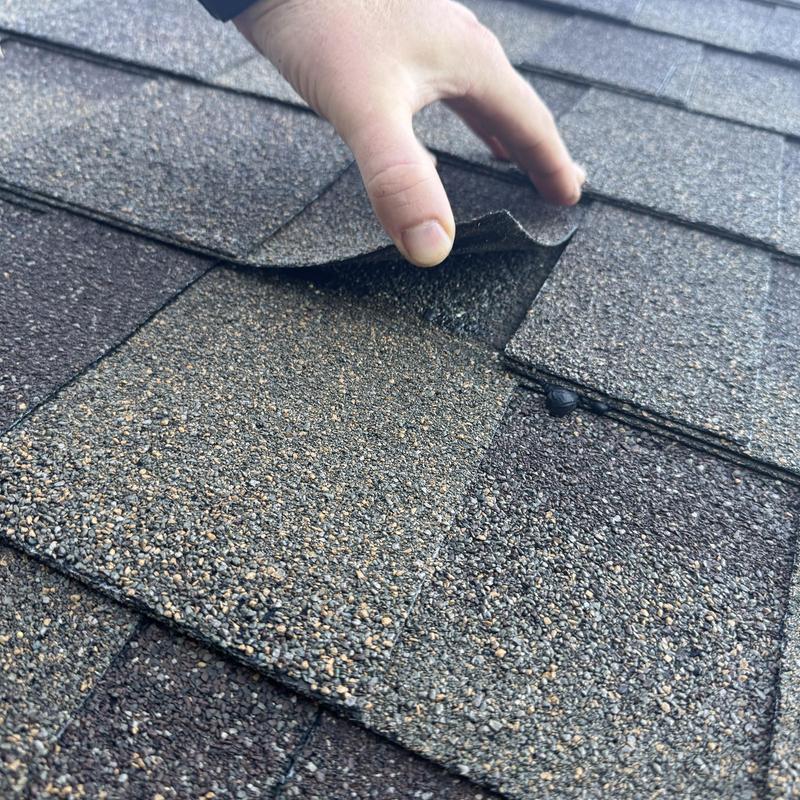 Asphalt roof shingles lifted to show loose adhesion and damage