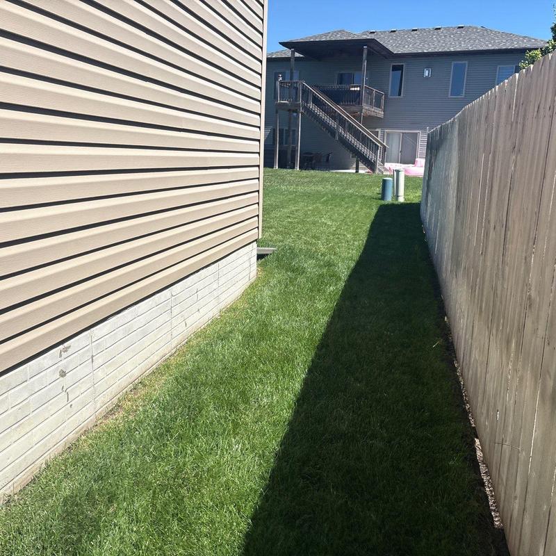 Grass lawn and fenced yard beside house exterior siding Grass lawn and fenced yard beside house exterior siding