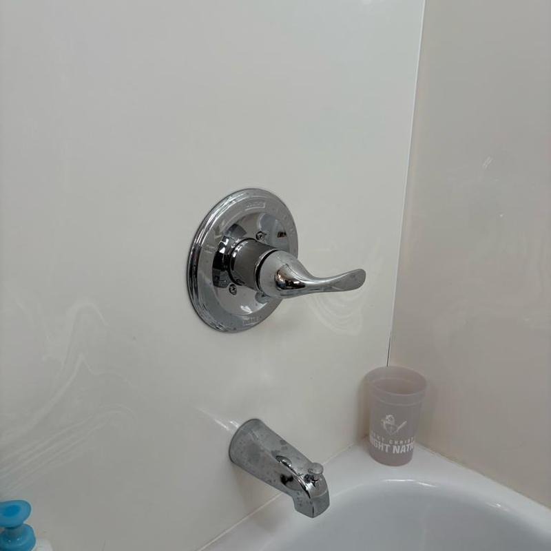 Delta tub and shower trim replacement in hallway bath
