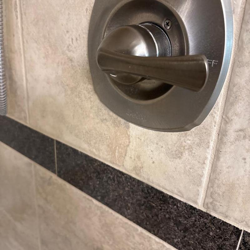 Master shower valve handle on tiled wall