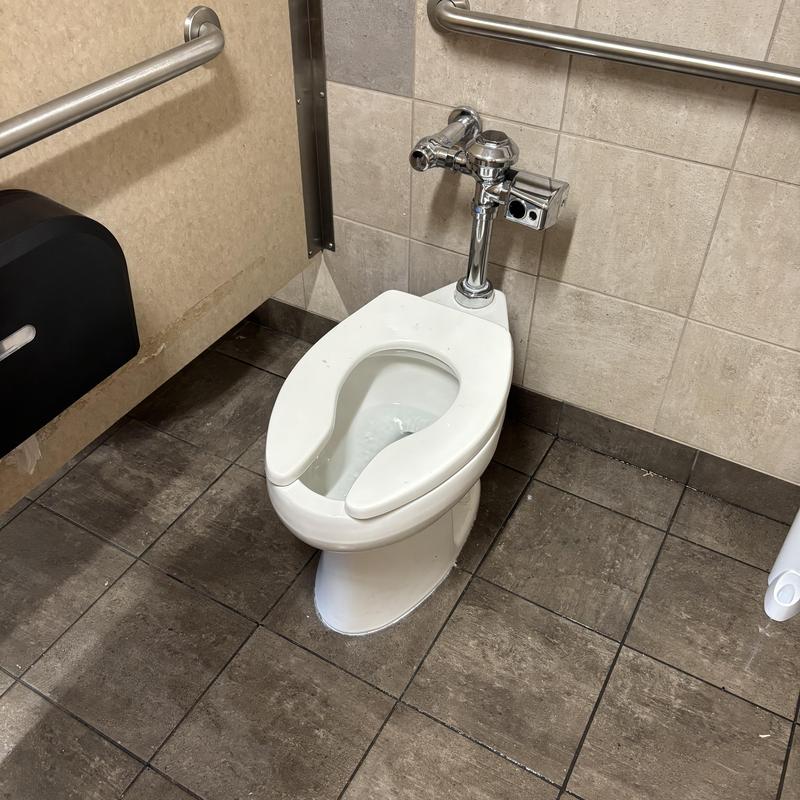 Handicap toilet with flush valve and grab bars Handicap toilet with flush valve and grab bars