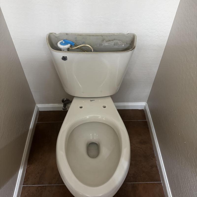 Toilet tank with internal valve components visible Toilet tank with internal valve components visible