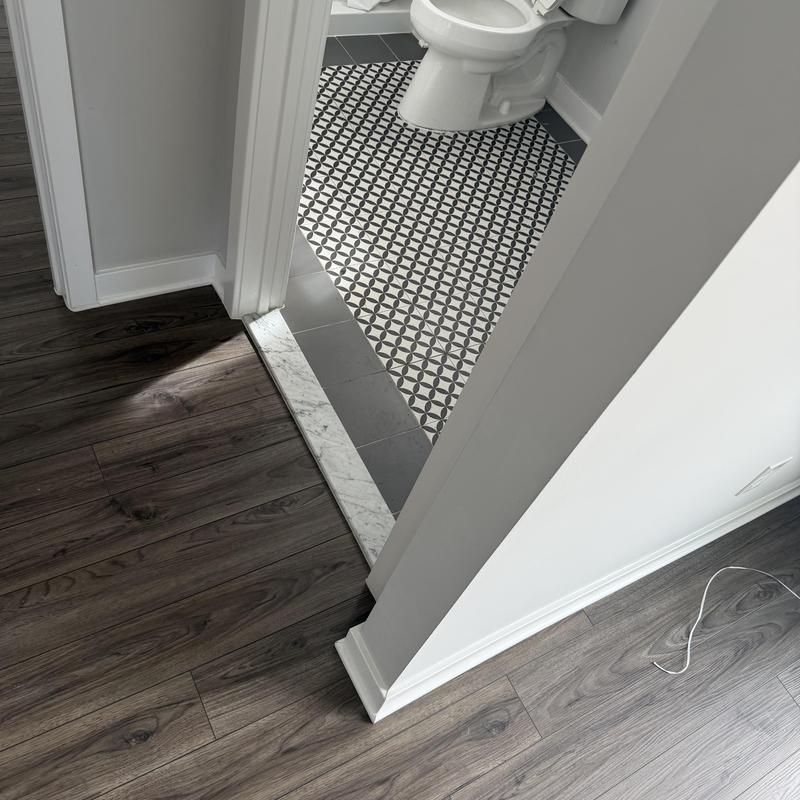 Bathroom floor tile and wood flooring transition strip Bathroom floor tile and wood flooring transition strip