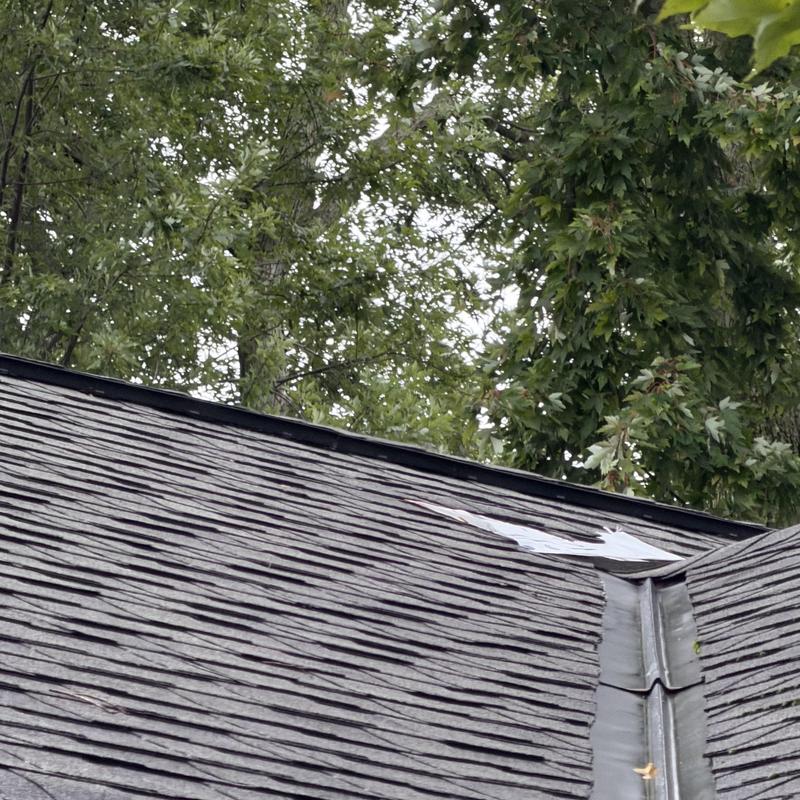 Asphalt shingle roof with damage marked by arrow