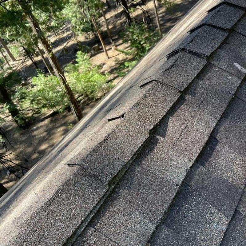 Asphalt shingle roof with lifted shingles in forest area