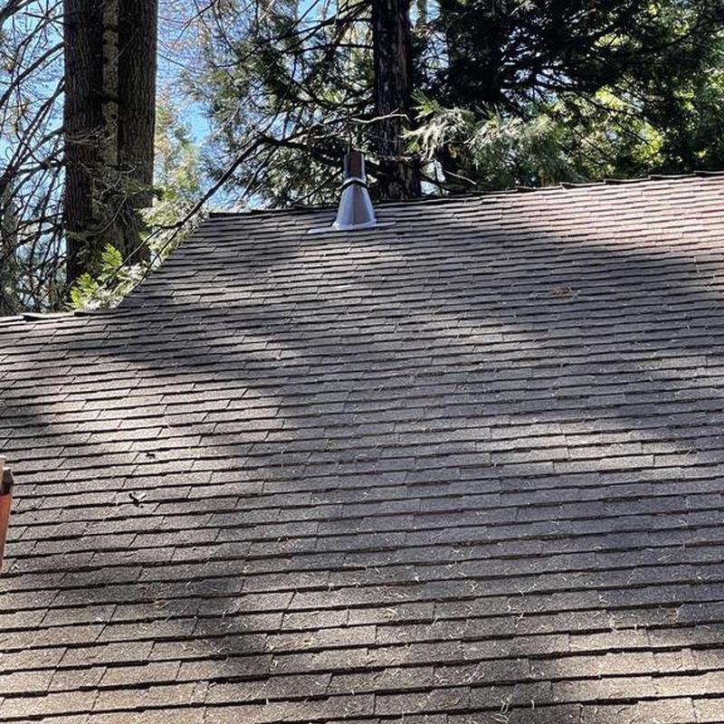 Asphalt shingle roof on cabin with tree shadows