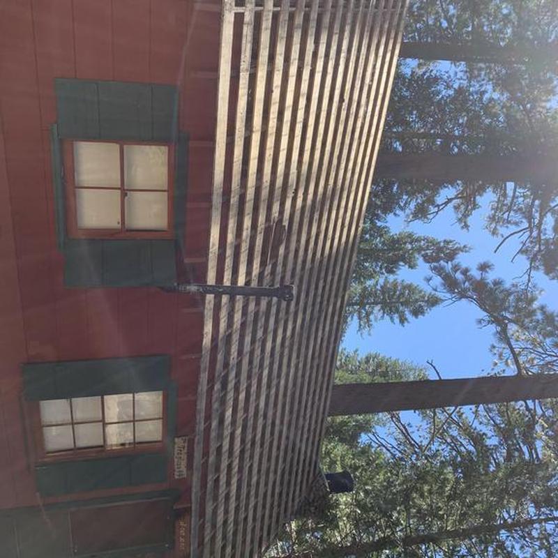 Asphalt shingle roof deck with sunlit tree shadows Asphalt shingle roof deck with sunlit tree shadows