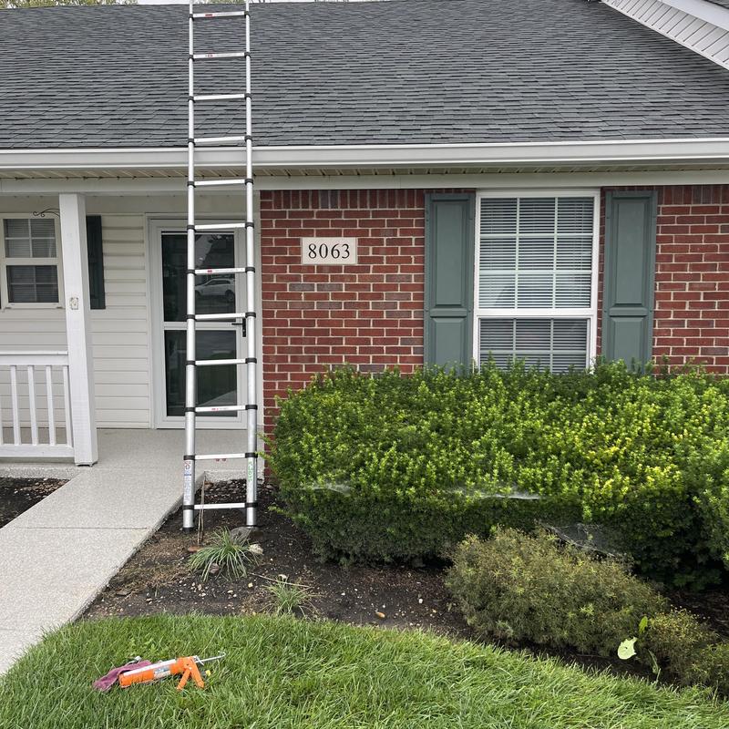 Asphalt shingle roof with ladder for leak detection Asphalt shingle roof with ladder for leak detection