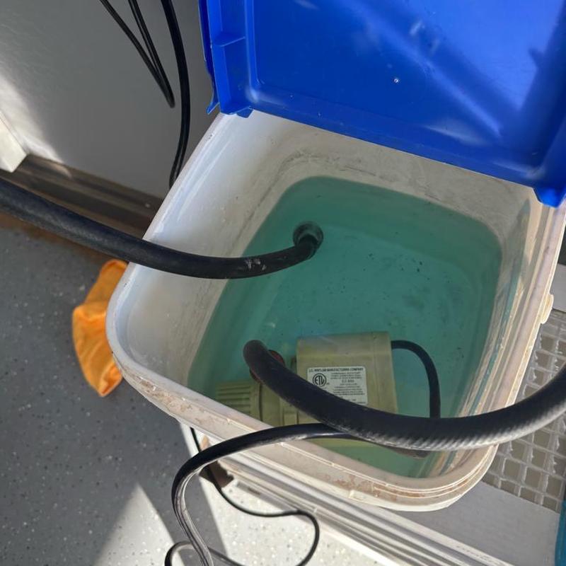 Tankless water heater flushing pump in bucket