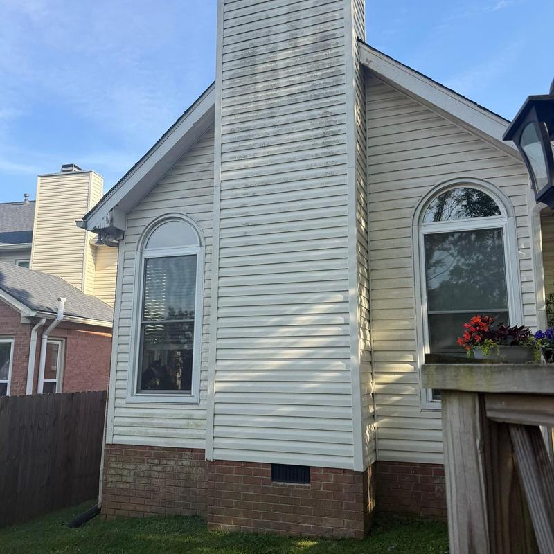 Vinyl siding exterior with visible dirt and mildew buildup