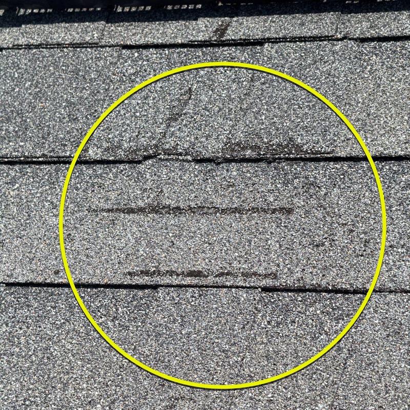 Roof shingles with hail damage circled in yellow