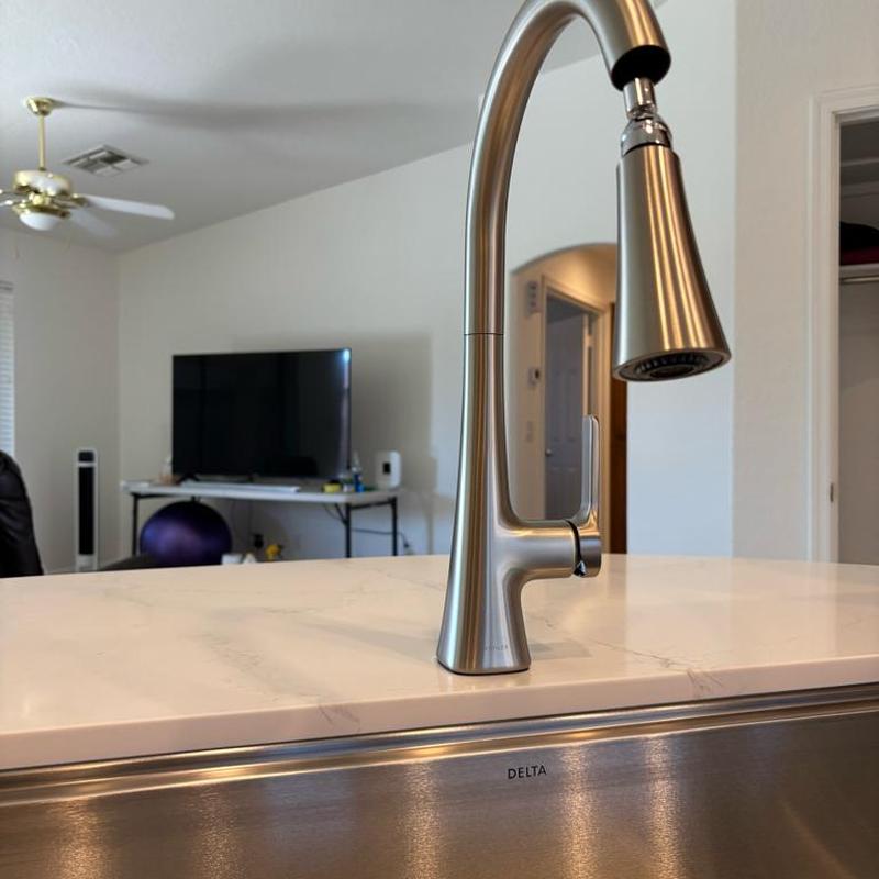 Kitchen faucet with pull-down sprayer on countertop