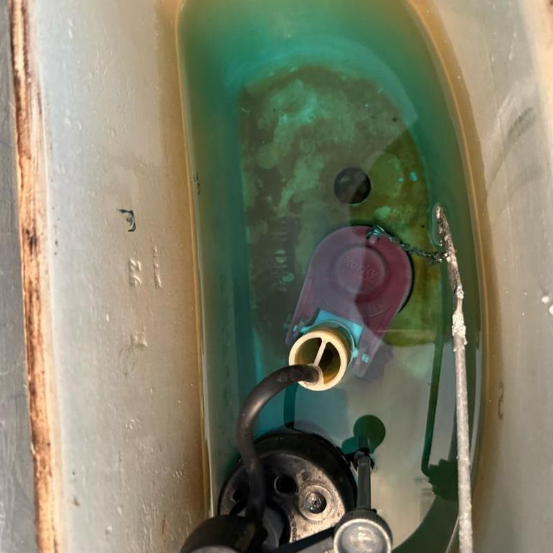 Toilet flush valve inside tank with water level