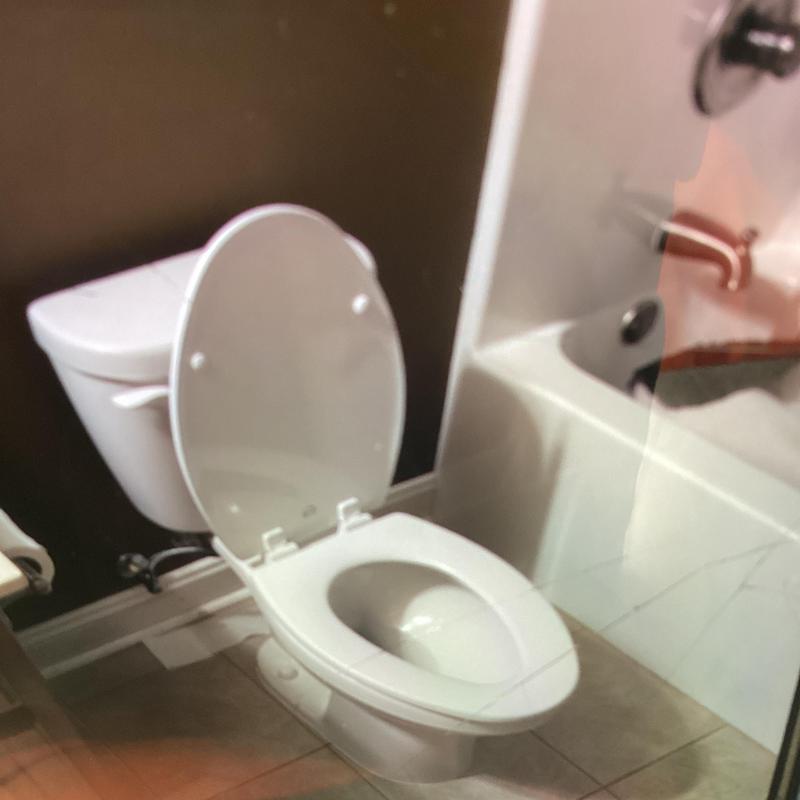 Elongated white toilet with new wax ring installed Elongated white toilet with new wax ring installed
